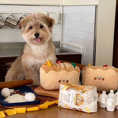 Mystery Paw Interactive Bread Toast Dog Chew Toy