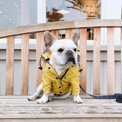 Waterproof Sport Dog Hoodie - Adventure Ready!