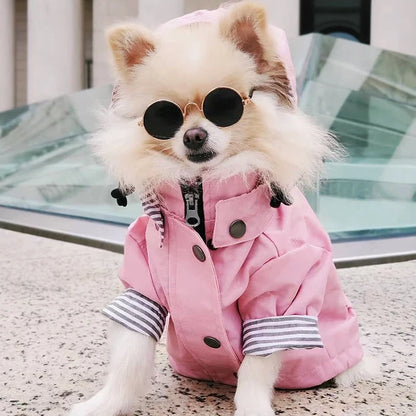 Waterproof Sport Dog Hoodie - Adventure Ready!