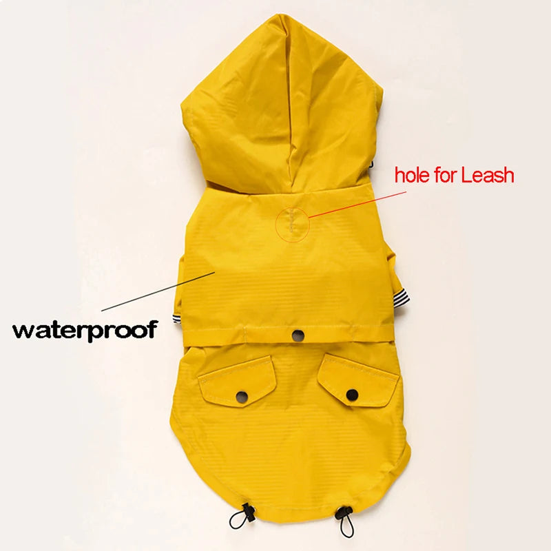 Waterproof Sport Dog Hoodie - Adventure Ready!
