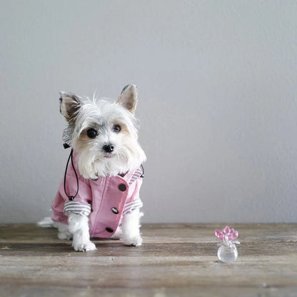 Waterproof Sport Dog Hoodie - Adventure Ready!