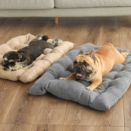 Mystery Paw 3-in-1 Cozy Bed for Cats & Dogs: Ultimate Comfort