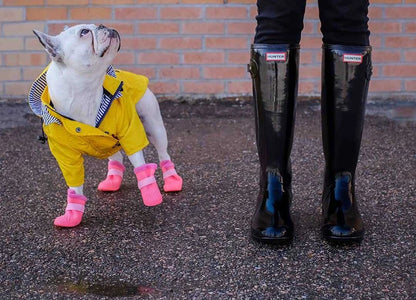 Waterproof Sport Dog Hoodie - Adventure Ready!