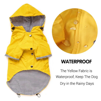 Waterproof Sport Dog Hoodie - Adventure Ready!