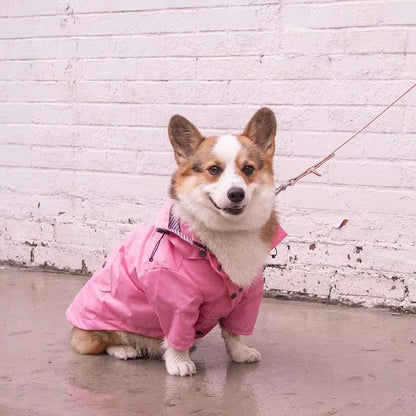 Waterproof Sport Dog Hoodie - Adventure Ready!