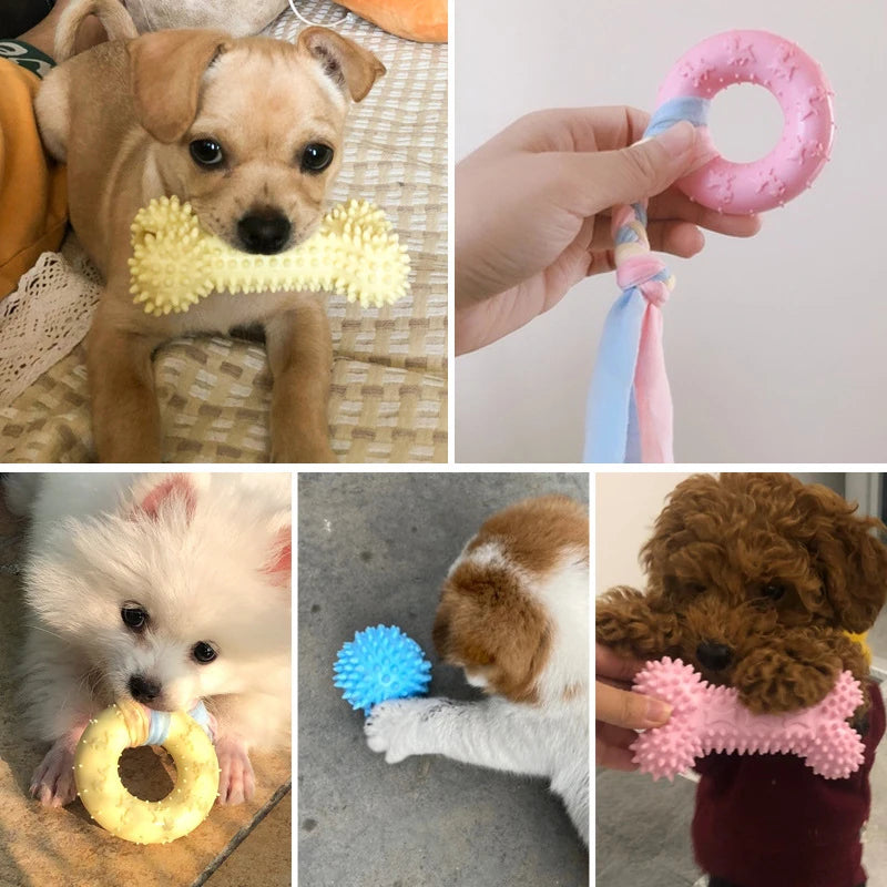 Interactive Chew Knot Toys for Small Dogs - Mystery Paw