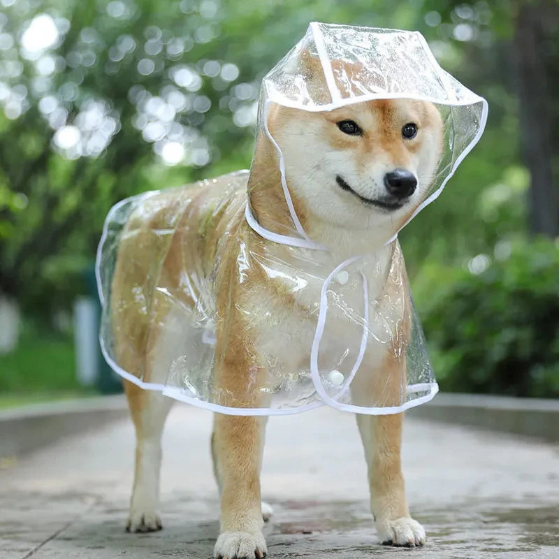 Mystery Paw Transparent Dog Raincoat - Stylish & Waterproof