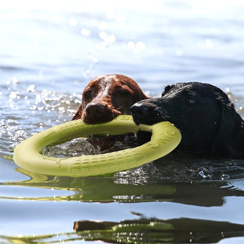 Mystery Paw Indestructible Dog Flying Disc - Ultimate Fetch Fun!