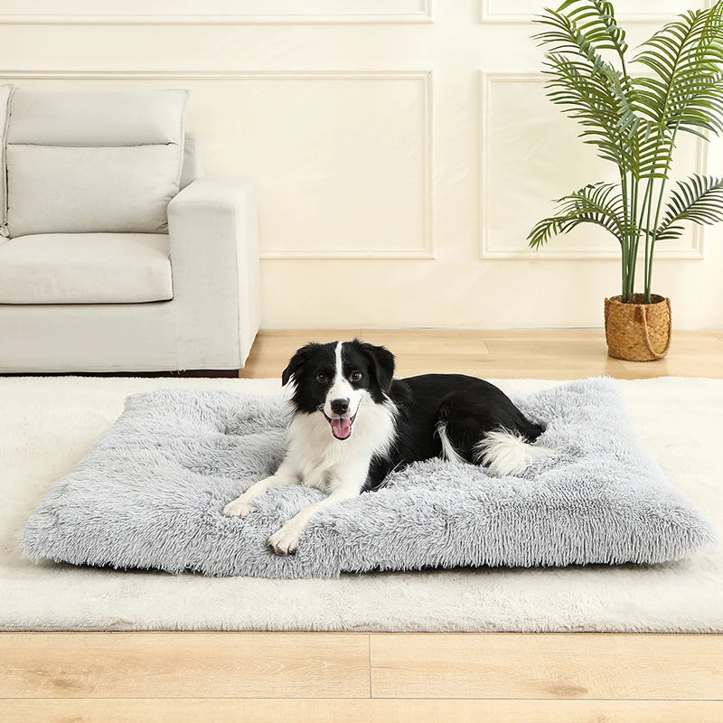 Long Plush Calming Bed - Cozy Retreat for Anxious Pets