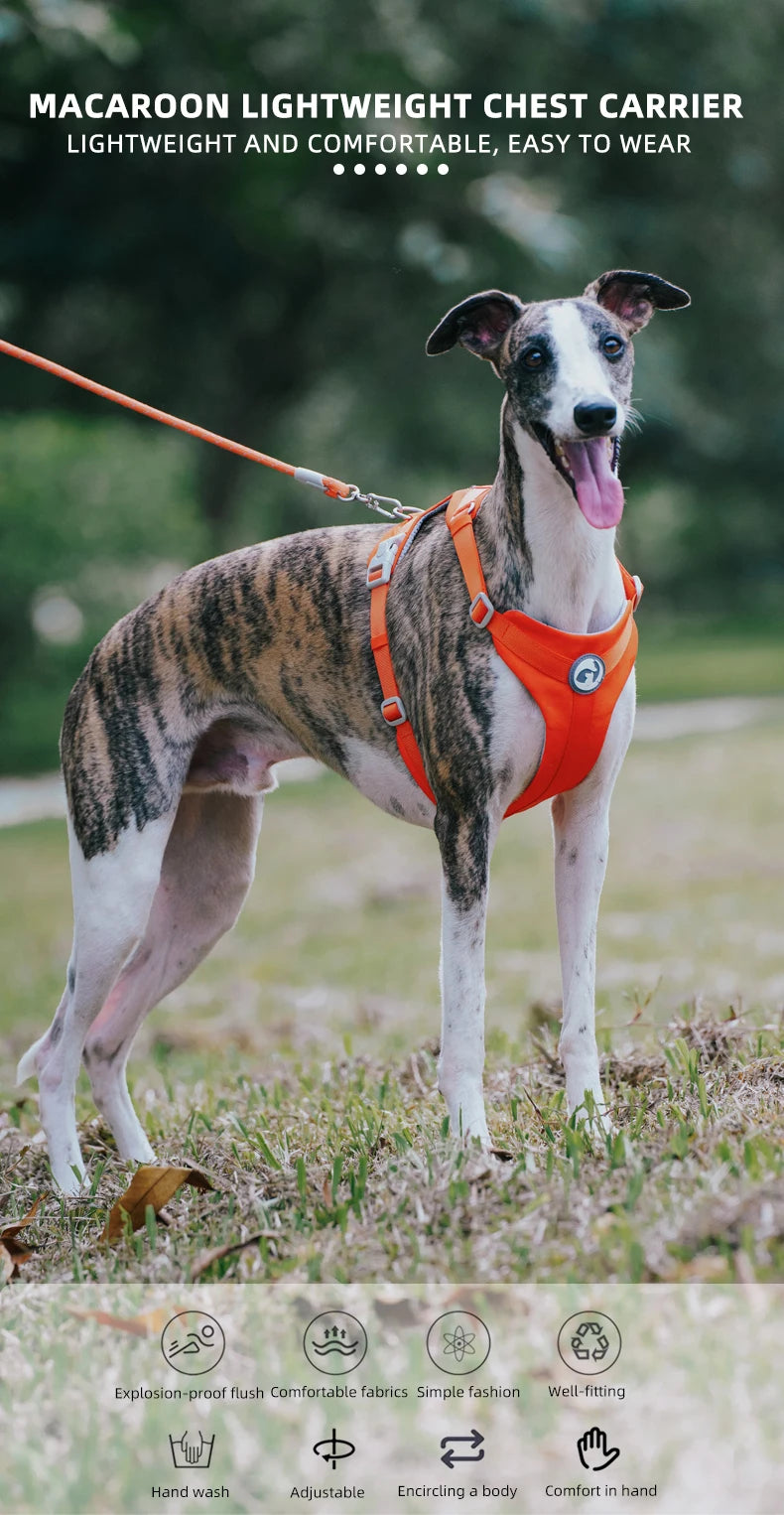 Mystery Paw No-Pull Reflective Dog Harness Vest