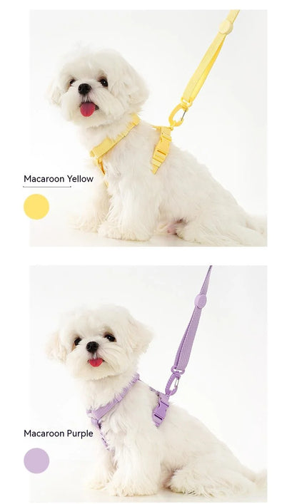 Mystery Paw Reflective H Shape Harness & Leash Set for Puppies & Cats
