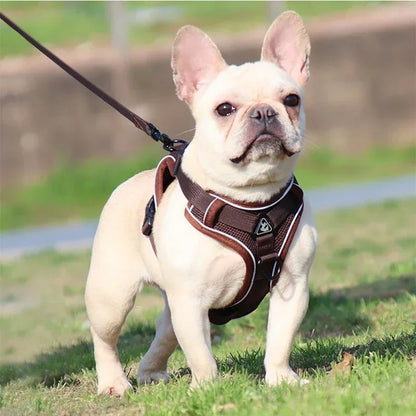 Reflective No Pull Harness & Leash Set for Dogs and Cats - Mystery Paw