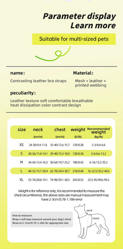 Mystery Paw Colorful Gradient Dog Harness - No Pull & Breathable