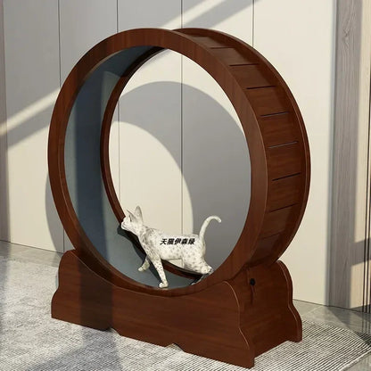 Eco-Friendly Cat Running Wheel - The Ultimate Exercise Equipment for Happy Cats