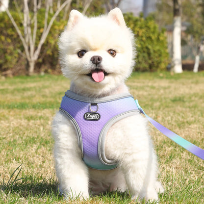 Reflective Adjustable Step-In Harness for Small Dogs & Cats - Supet