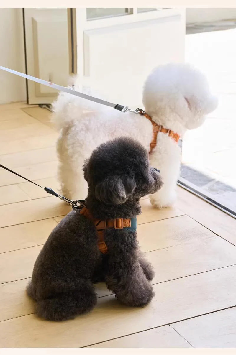 Kawaii Bear Harness & Leash Set for Cats & Small Dogs