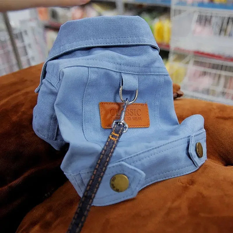 Mystery Paw Spring & Summer Dog Denim Vest with Leash Ring