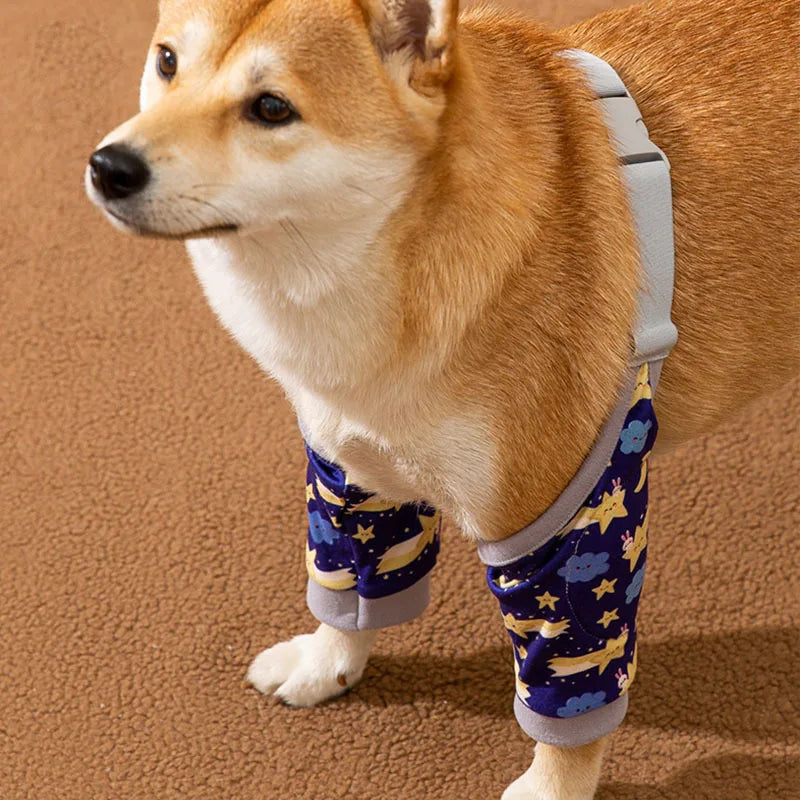 Mystery Paw Protective Dog Clothing - Large Dog Joint Shield