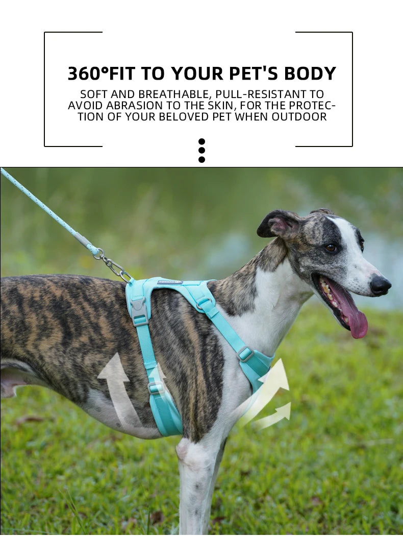 Mystery Paw No-Pull Reflective Dog Harness Vest
