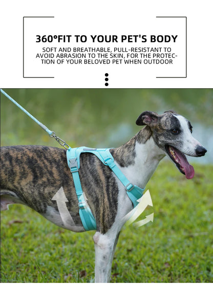 Mystery Paw No-Pull Reflective Dog Harness Vest