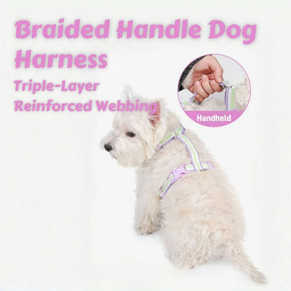 Mystery Paw No-Pull Adjustable Dog Harness - Reflective & Comfortable for All Breeds