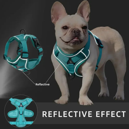 Reflective No Pull Harness & Leash Set for Dogs and Cats - Mystery Paw