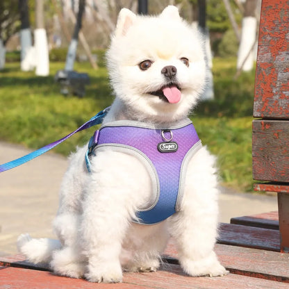 Reflective Adjustable Step-In Harness for Small Dogs & Cats - Supet