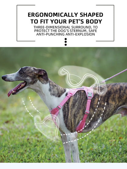 Mystery Paw No-Pull Reflective Dog Harness Vest