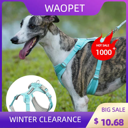 Mystery Paw No-Pull Reflective Dog Harness Vest