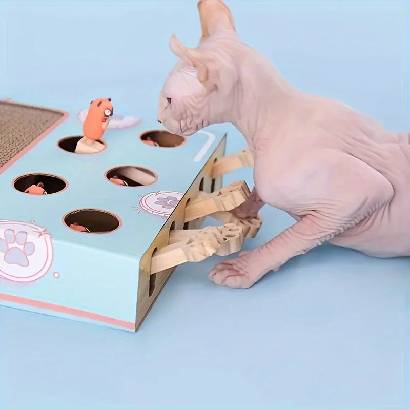 Interactive Cat Toy & Scratching Board for Curious Kittens