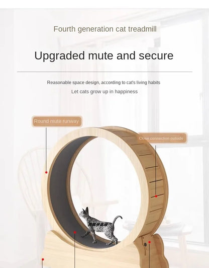 Eco-Friendly Cat Running Wheel - The Ultimate Exercise Equipment for Happy Cats