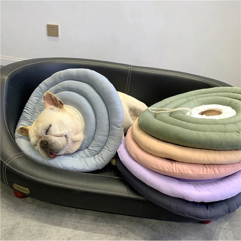 Mystery Paw Pet Healing Cone: Ultimate Protection for Your Furry Friends