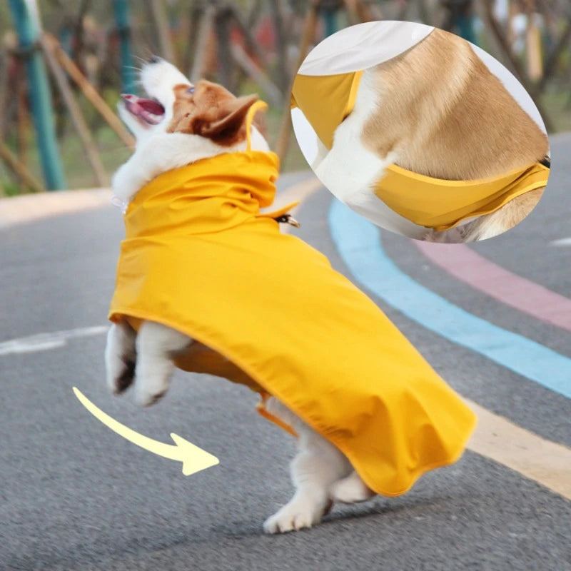 Mystery Paw Waterproof Dog Raincoat - Perfect for Any Adventure!