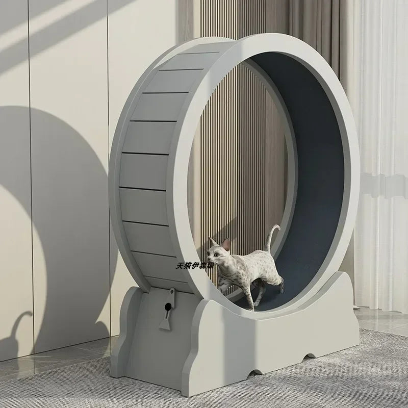 Eco-Friendly Cat Running Wheel - The Ultimate Exercise Equipment for Happy Cats
