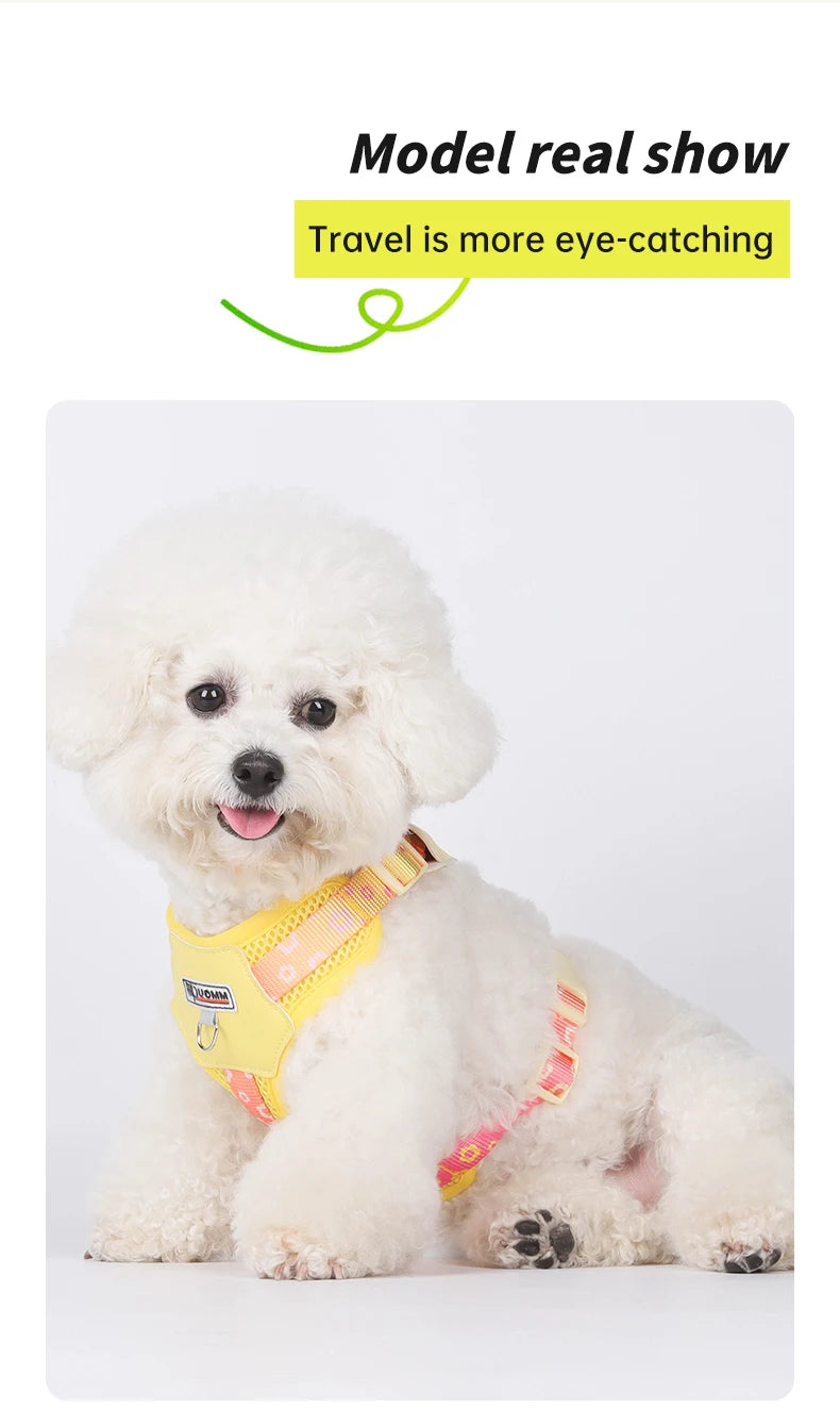 Mystery Paw Kawaii Summer Cooling Dog Harness & Leash Set