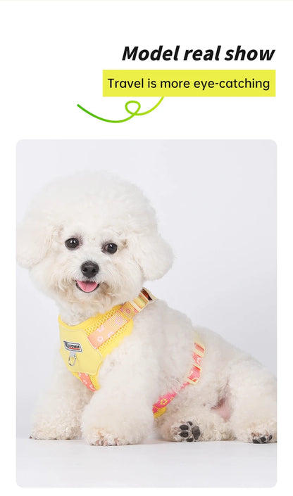 Mystery Paw Kawaii Summer Cooling Dog Harness & Leash Set