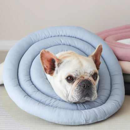 Mystery Paw Pet Healing Cone: Ultimate Protection for Your Furry Friends