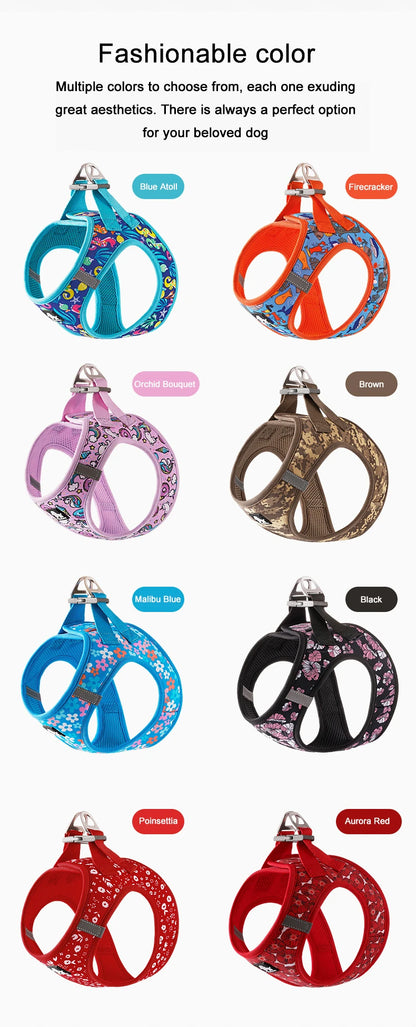 Mystery Paw Reflective Air Mesh Harness for Small & Medium Pets