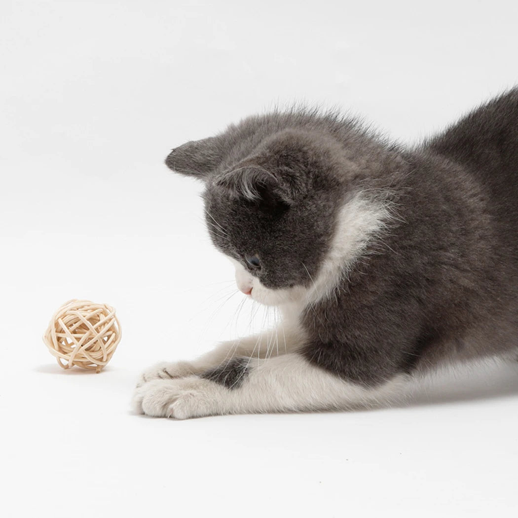 Funny Feather & Rattan Bell Balls - Interactive Cat Toys
