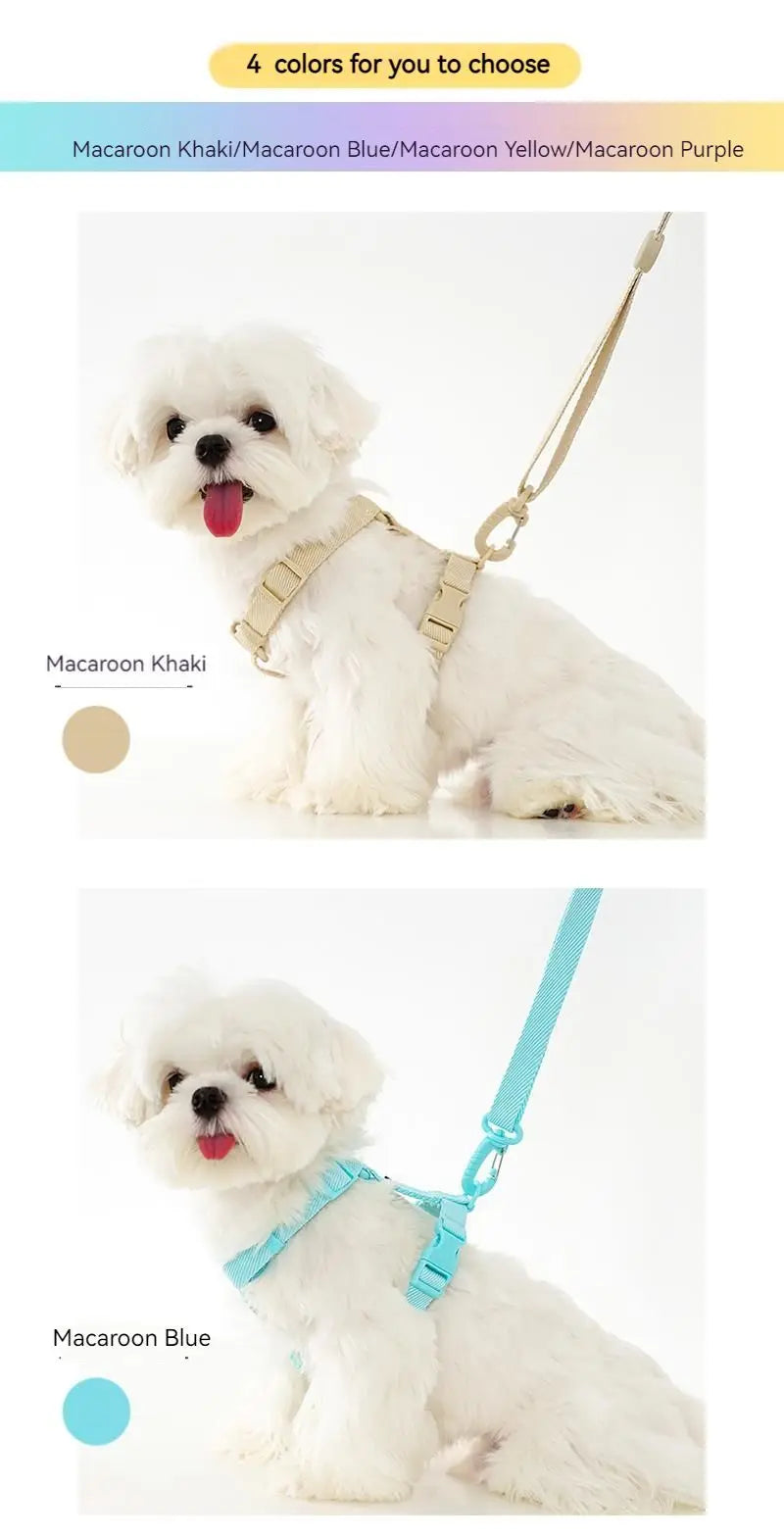 Mystery Paw Reflective H Shape Harness & Leash Set for Puppies & Cats