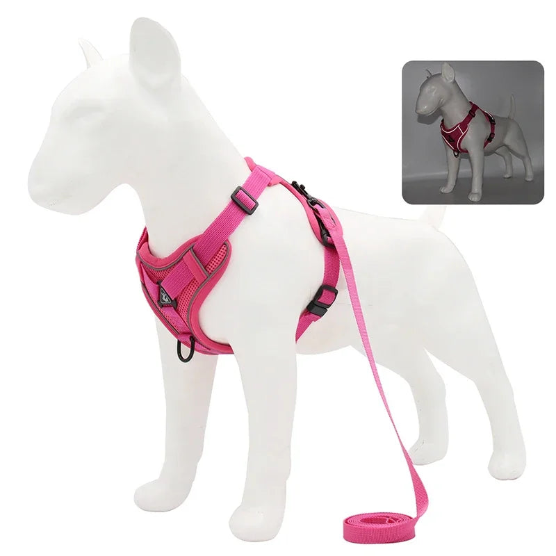 Reflective No Pull Harness & Leash Set for Dogs and Cats - Mystery Paw