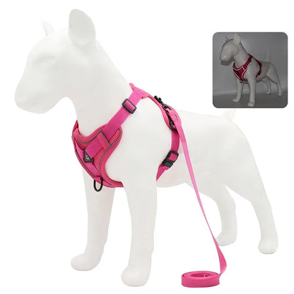 Reflective No Pull Harness & Leash Set for Dogs and Cats - Mystery Paw