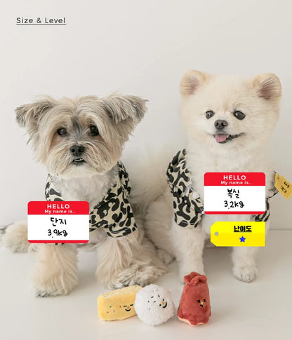 Korean Bento Style Squeaky Toy Set for Dogs - Mystery Paw