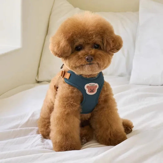 Kawaii Bear Harness & Leash Set for Cats & Small Dogs