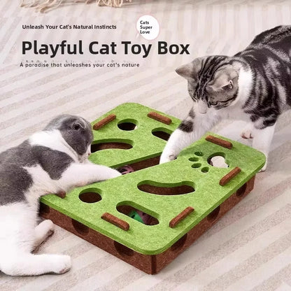Mystery Paw Interactive Cat Puzzle Box - Ultimate Indoor Cat Enrichment