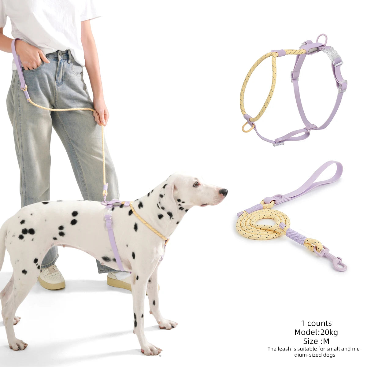 Kawaii Summer Cooling No-Pull Dog Harness & Leash Set - Stylish Comfort for Medium & Large Breeds