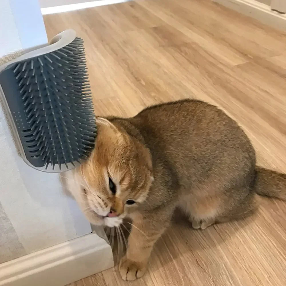 Mystery Paw Cat Corner Scrubber & Massager