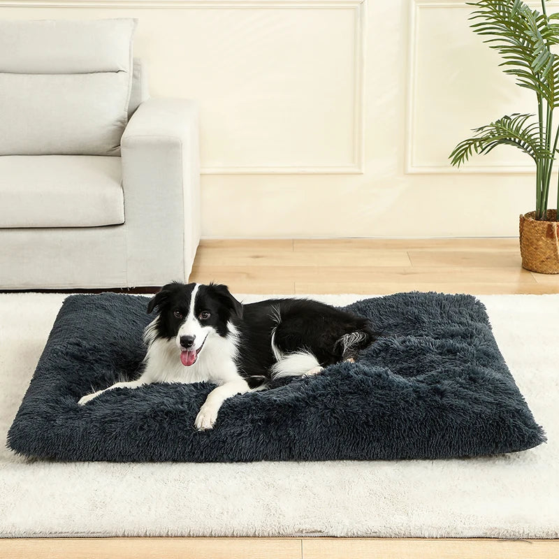 Long Plush Calming Bed - Cozy Retreat for Anxious Pets
