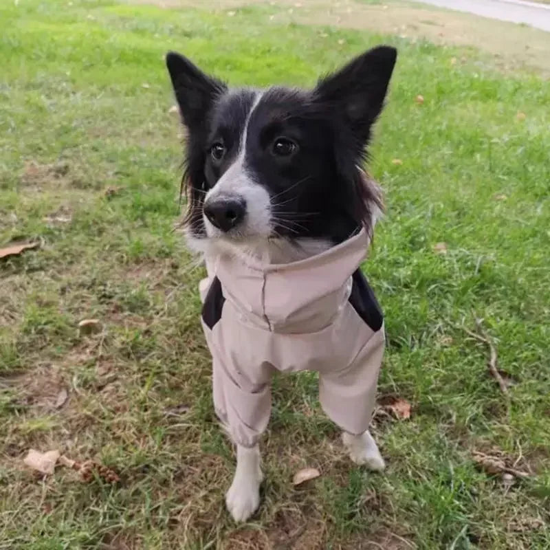 Ultimate Waterproof Dog Jacket - Perfect for Large Breeds