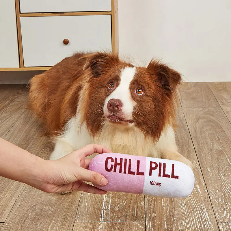 Chill Pill Plush Dog Toy - Built-in Vocal Fun!